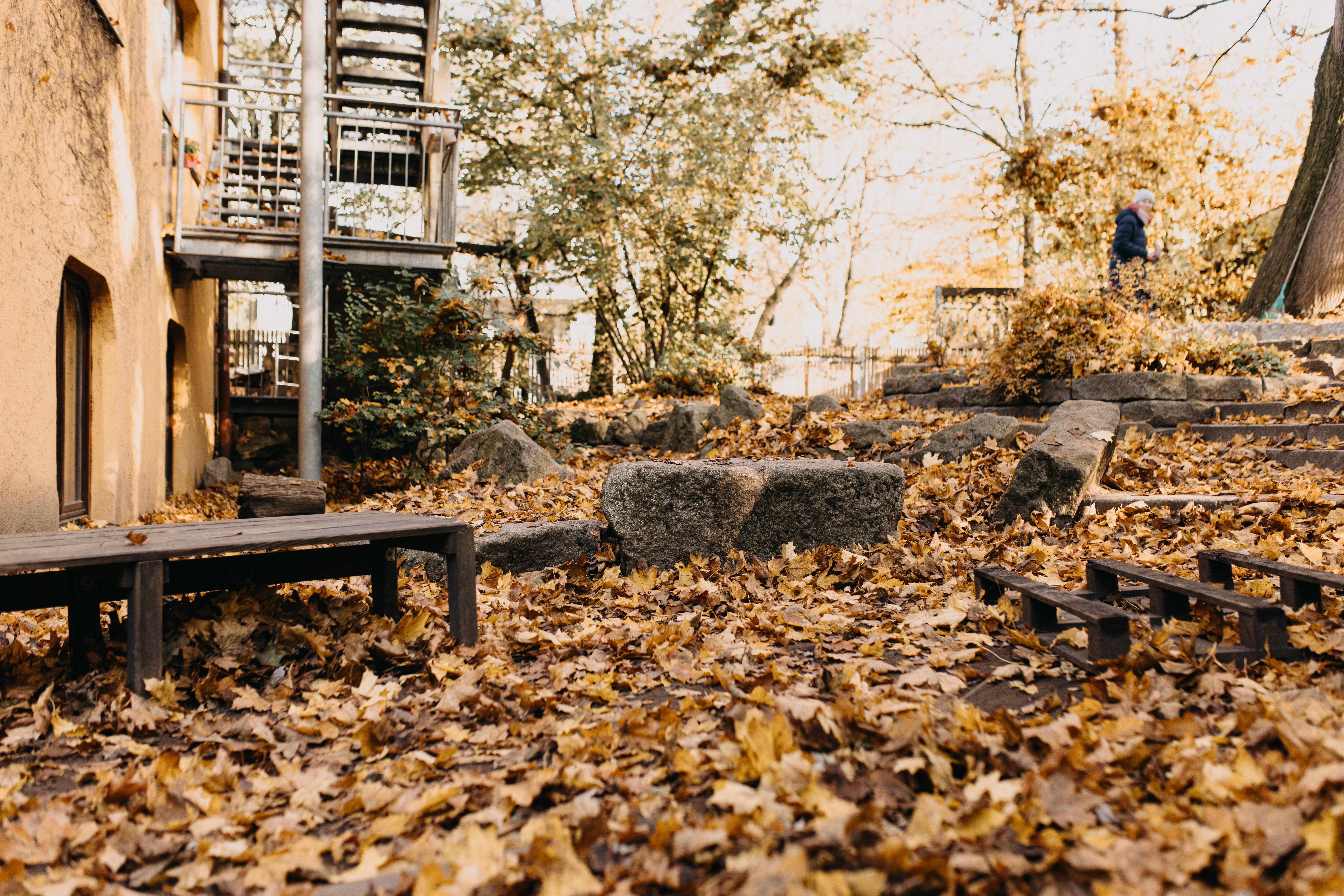 ©Foxografie_waldorfkindergartenherbst_2024_13